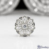 Giant Circular Cluster Ring